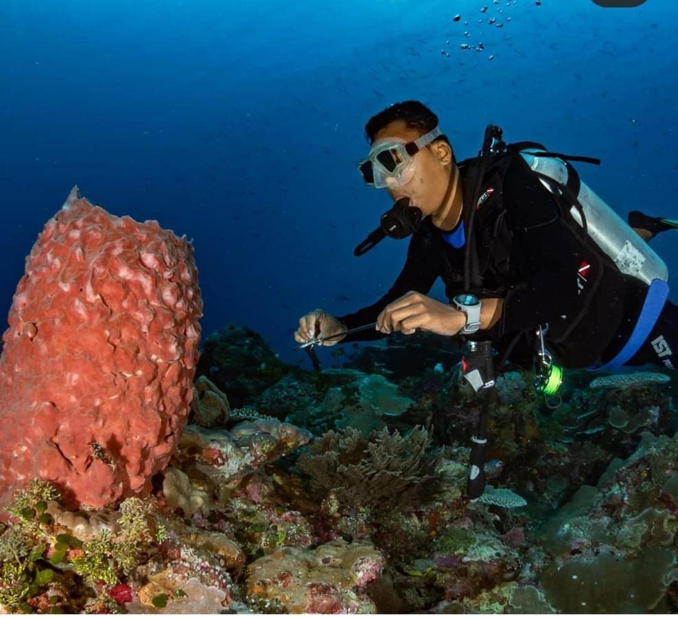 Waha Marind Dive Eco Resort מראה חיצוני תמונה